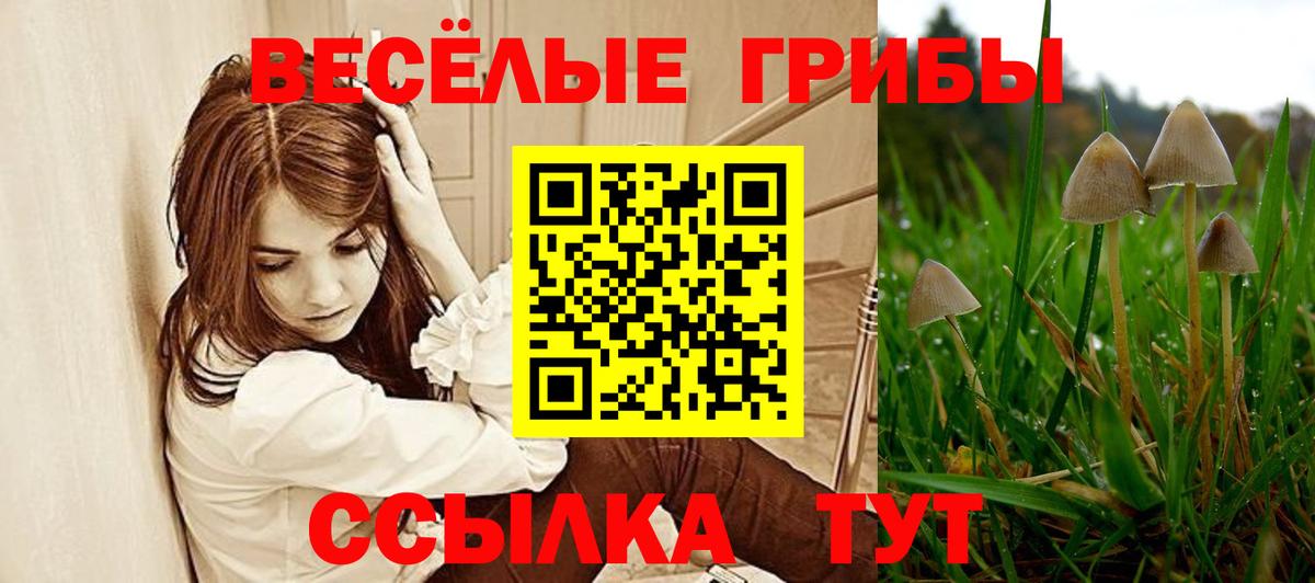 Галлюциногенные грибы прущие грибы Апрелевка